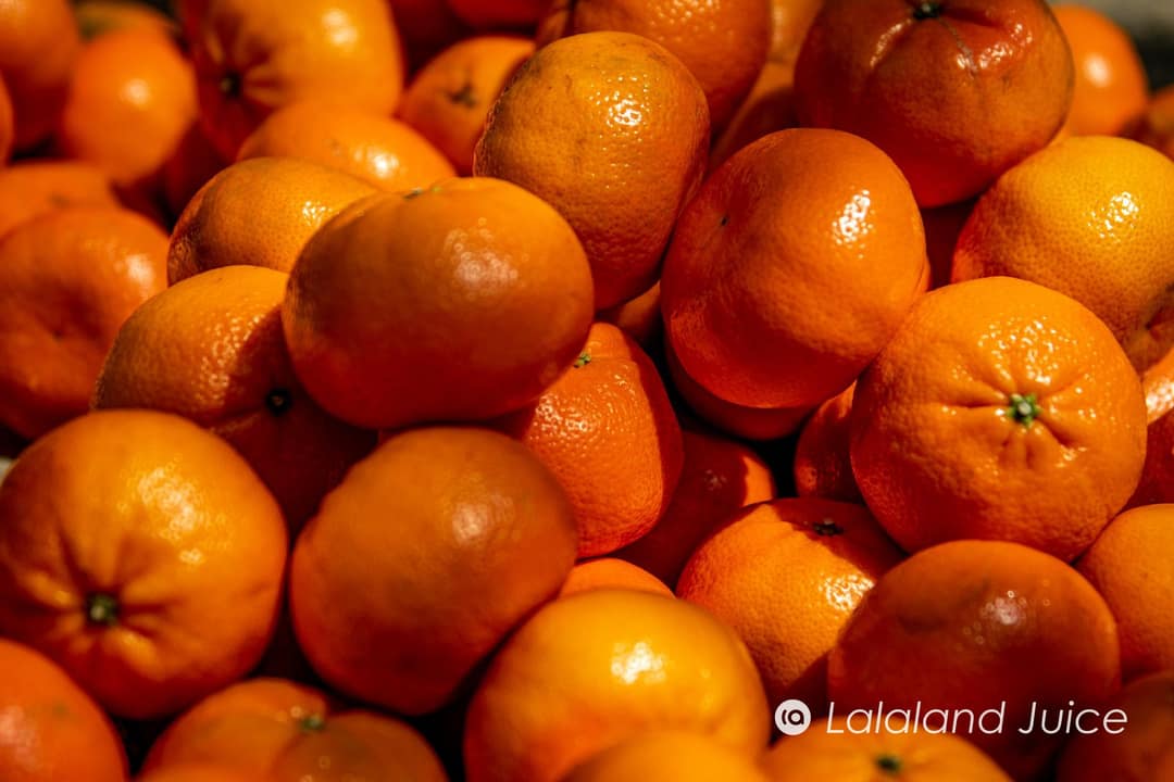 Mandarin oranges piled high, glowing in warm, hard sunlight.
