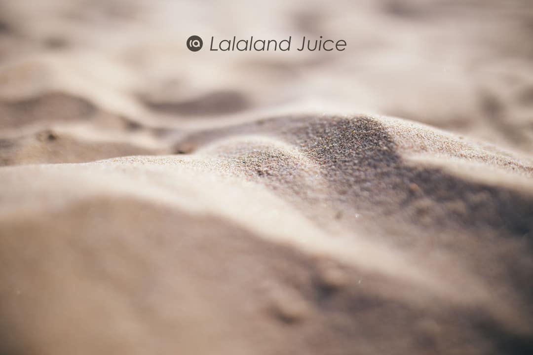 Warm sand in macro, dunes rising and falling like something breathing slowly.