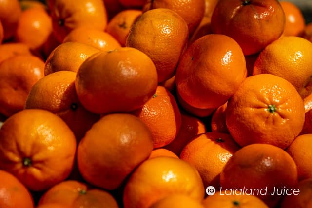 A sunlit pile of mandarin oranges, skins glowing — the Lalaland Juice mark set within.