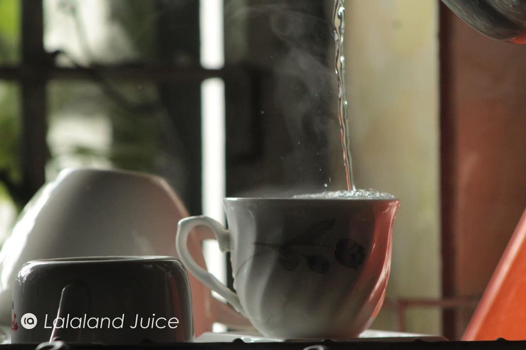 Tea mid-pour into a ceramic cup by a bright window, steam rising.